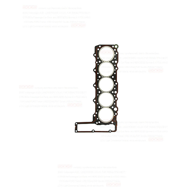 TH0009 Sprinter OM602 W601 W602 MB100 Cylinder Head Gasket with Metal 6020163520